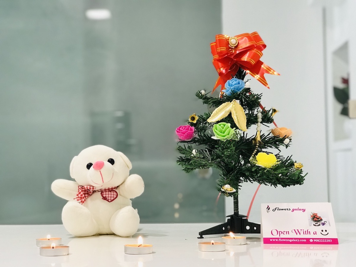 Cute Christmas Combo